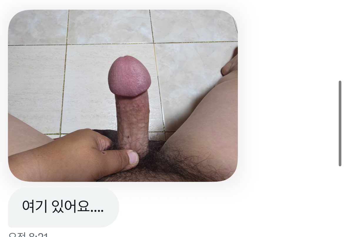 시연 tweet media
