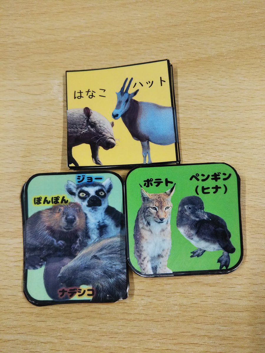 hamurazoo_'s tweet image. 7月の延長開園ではうちわとステッカーも販売します☀️
恐らく今後二度とないであろう動物の組み合わせ!?
販売時間は16:30~18:30
券売にて販売しますのでお気をつけください🙇♀️