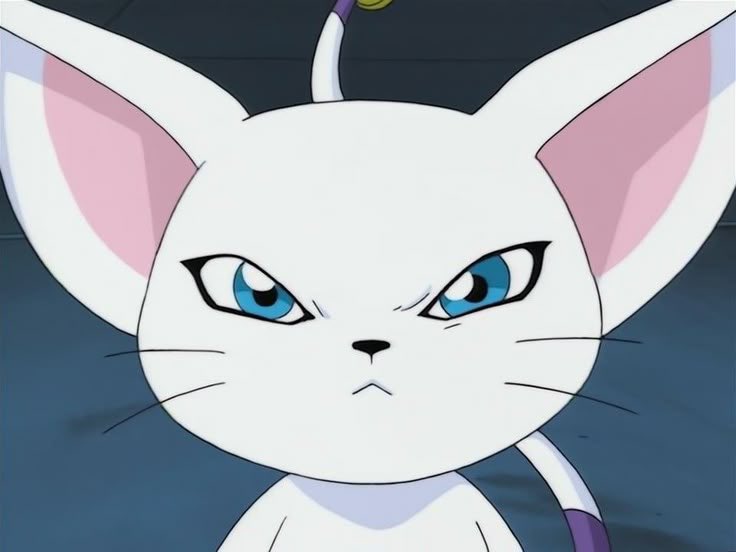 breadeyaa's tweet image. Anime                                     Real