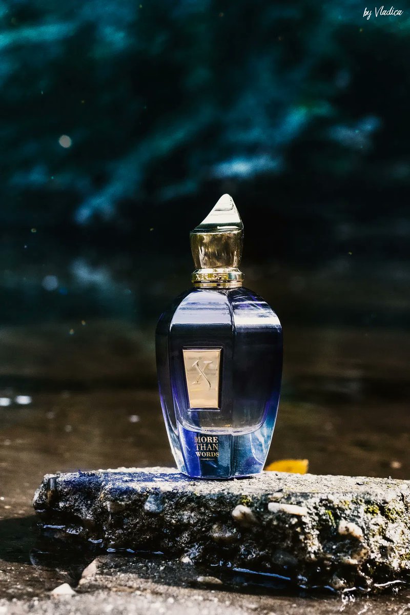 محب العطور ✨ tweet media