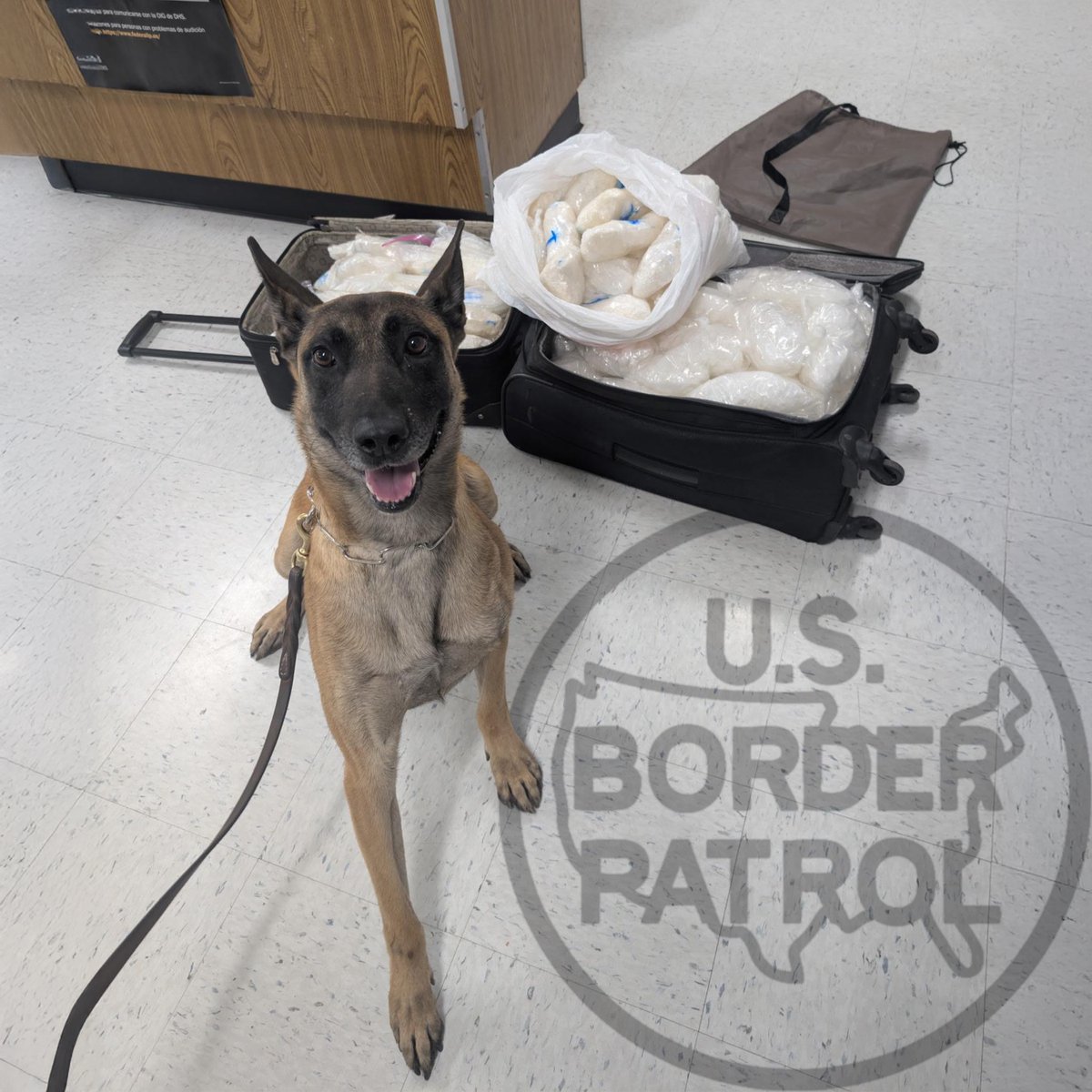 USBPChief's tweet image. $84k WORTH OF METH SEIZED!
7/14- A USBP K9 led agents to 106 lbs. of meth hidden in a trash bag and two suitcases during a vehicle stop in San Clemente, CA. DEA took custody of the drugs and the individual who now faces charges for possession with the intent to distribute…