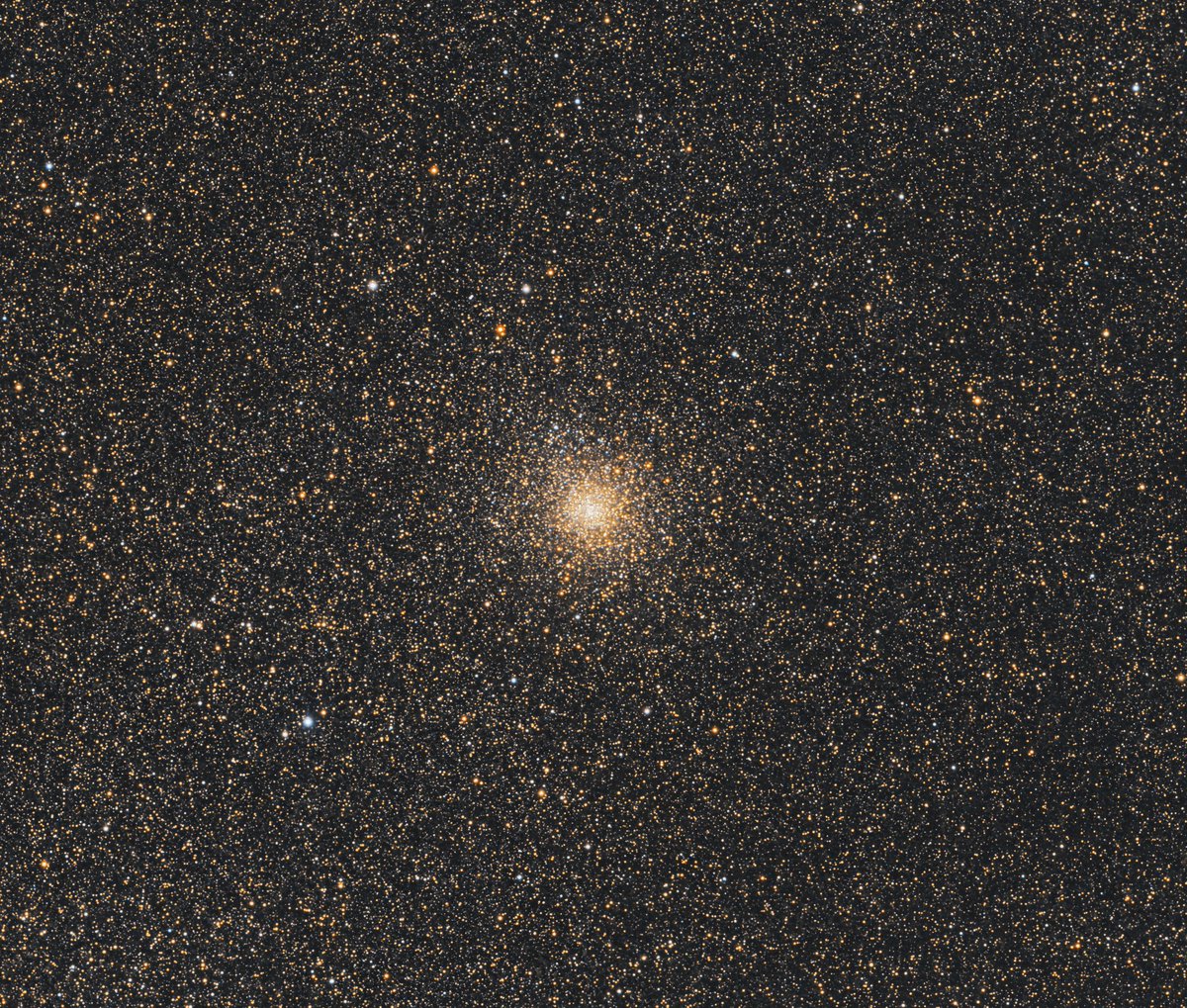 chucksastropho1's tweet image. My latest capture - globular cluster M28.  It&apos;s near the center of the constellation Sagittarius.  It was discovered in 1764.  It&apos;s calculated to have formed around 12 billion years ago.  

Celestron RASA telescope
ZWO ASI533MC camera
Antlia L-Filter
Starfront Observatories, TX
