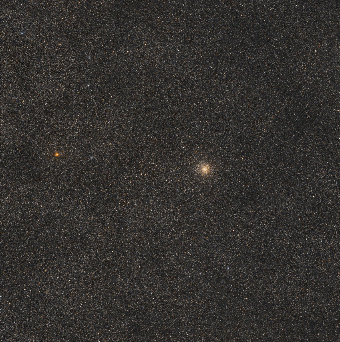 chucksastropho1's tweet image. My latest capture - globular cluster M28.  It&apos;s near the center of the constellation Sagittarius.  It was discovered in 1764.  It&apos;s calculated to have formed around 12 billion years ago.  

Celestron RASA telescope
ZWO ASI533MC camera
Antlia L-Filter
Starfront Observatories, TX