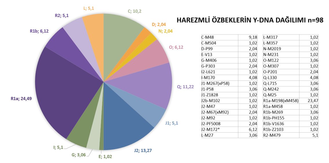 Kartal_Yabgu's tweet photo. Harezmli Özbeklerin Y-DNA ve altdal dağılımı:
R1a- %24,49
J2- %13,27
Q- %11,22
C- %10,2
O- %6,12
R1b- %6,12
J1- %5,1
I- %5,1
R2- %5,1
L- %5,1
G- %3,06
D- %2,04
N- %2,04
E- %1,02 https://t.co/Lk2VGShWf2