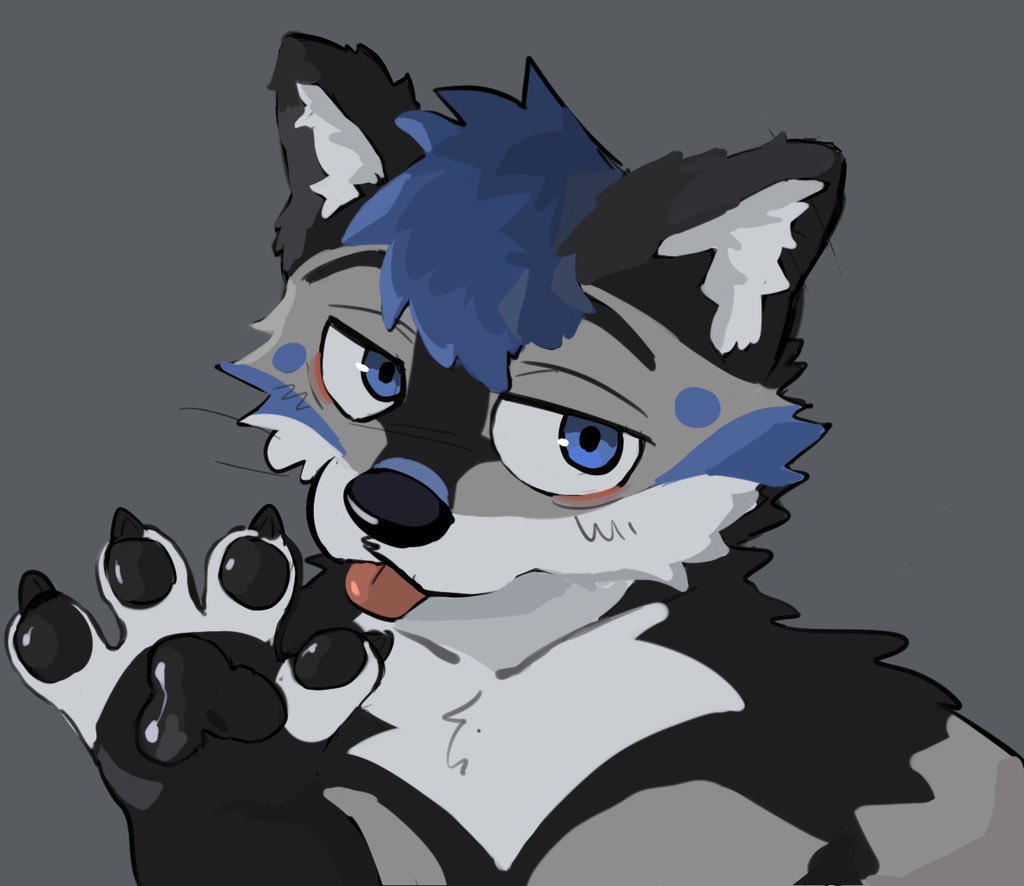 iado's tweet image. 👋

@shuishuibj
