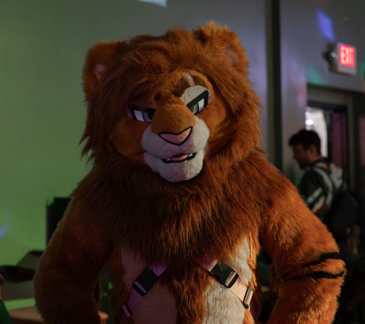 SouKuugo's tweet image. You are at the bar. A big, scary lion walks up to you. What’s your next move?
#FursuitFriday
📸: @/muddyfloof.bsky.social