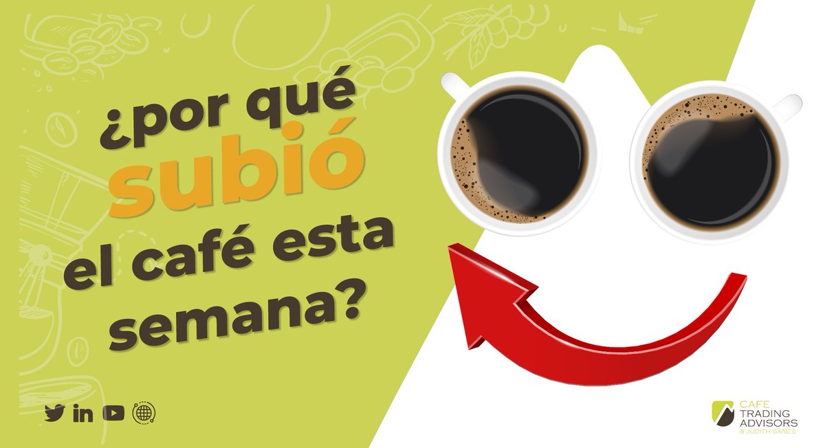 🚨 ¡Atención cafeteros!
La semana pasada el café subió a $308 y muchos están tomando decisiones sin tener el panorama completo.
No cometas ese error. Aquí te explicamos todo 👉 youtu.be/Uw7ZyIDl77U
Y si quieres prever lo que viene, haz clic aquí 👉 bit.ly/SuscripCafe