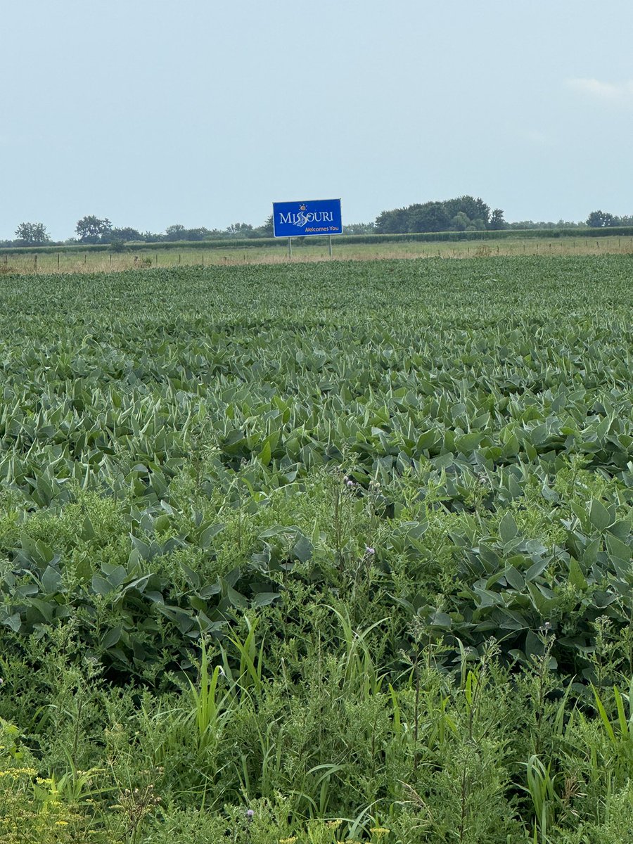 tgmiller46's tweet image. Spraying on the state line raised the IQ of both states when I set foot across the line
