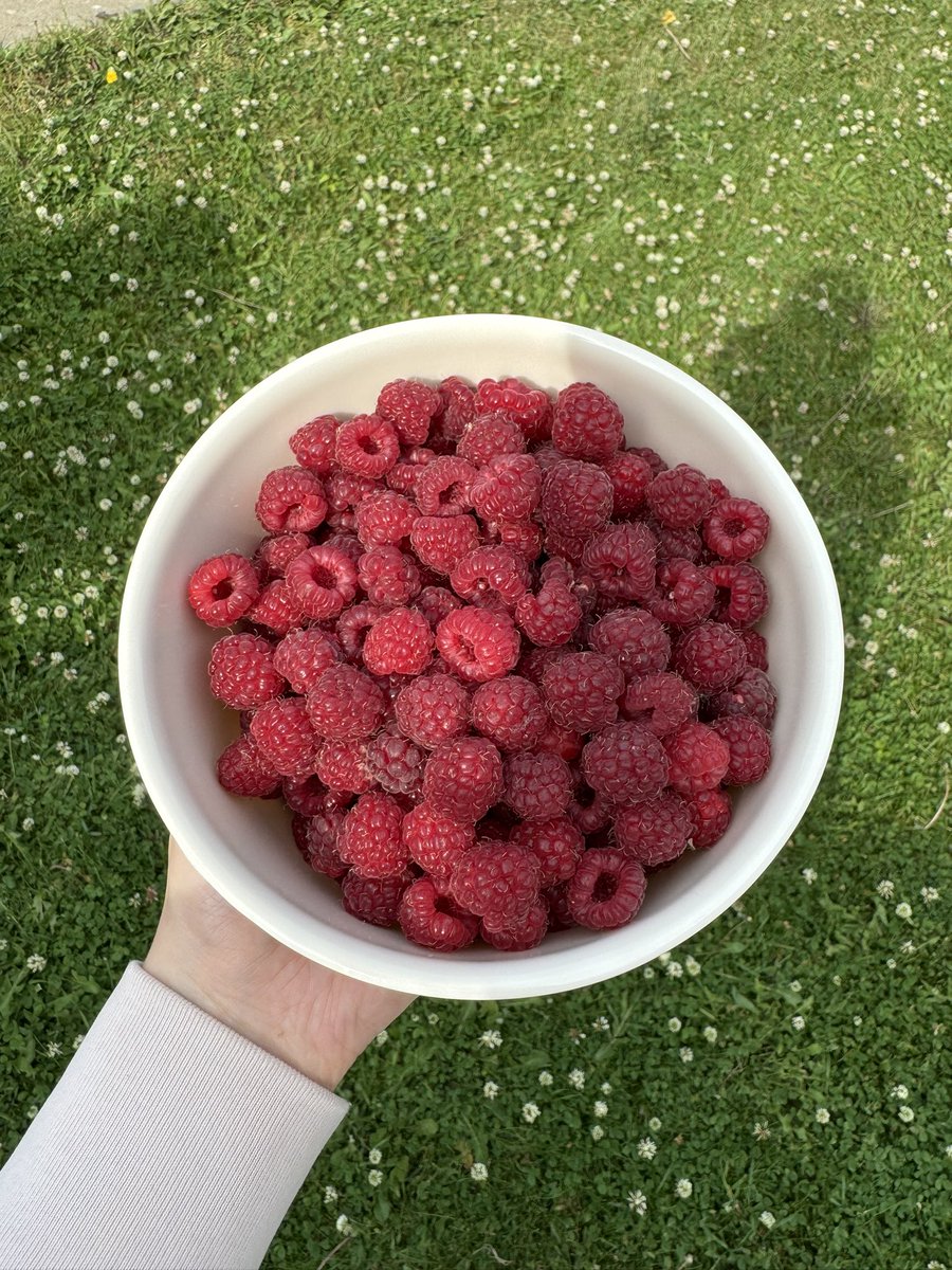 cloverkuri's tweet image. good day
