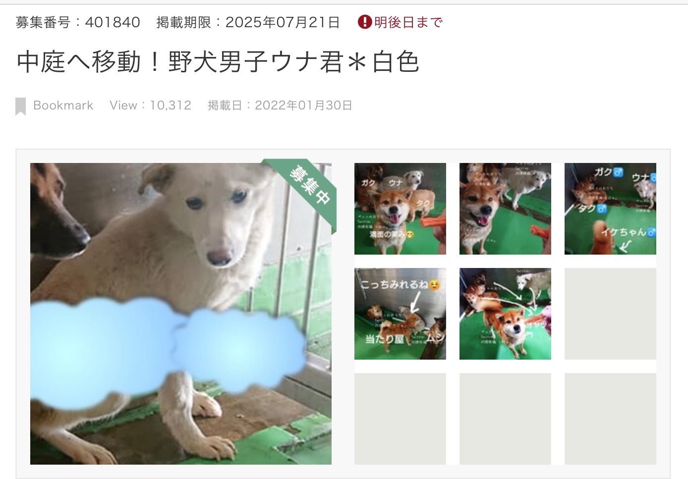 黒猫にゃーこ🌻🐱74✨ on X: 
