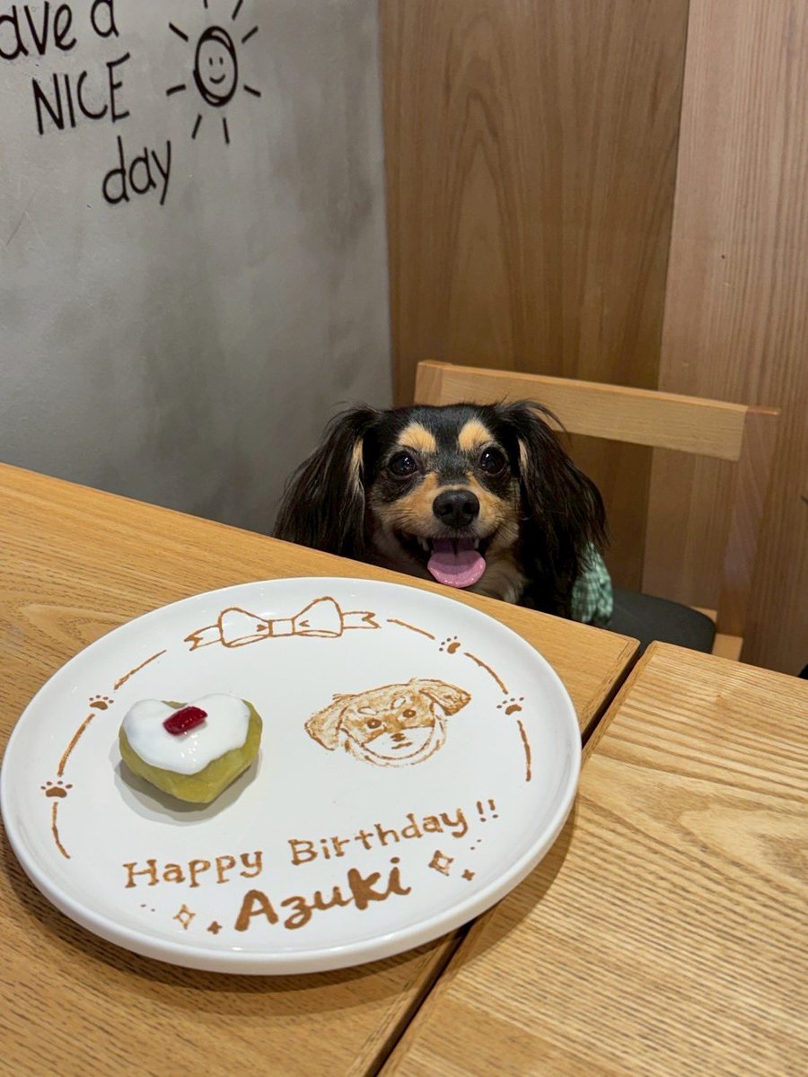 🫘チワックスのあずきとぱんな (@a_ch718) / Posts / X