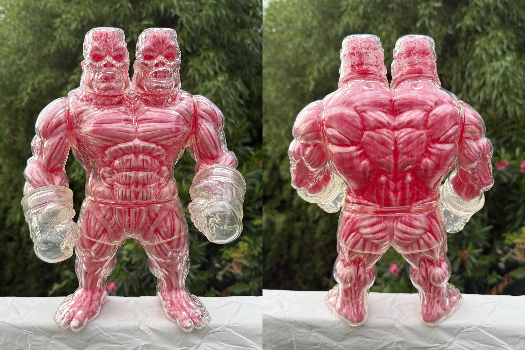 もうこやま アナトミーゴールド・ジャイアントゴリラフランケンMMA