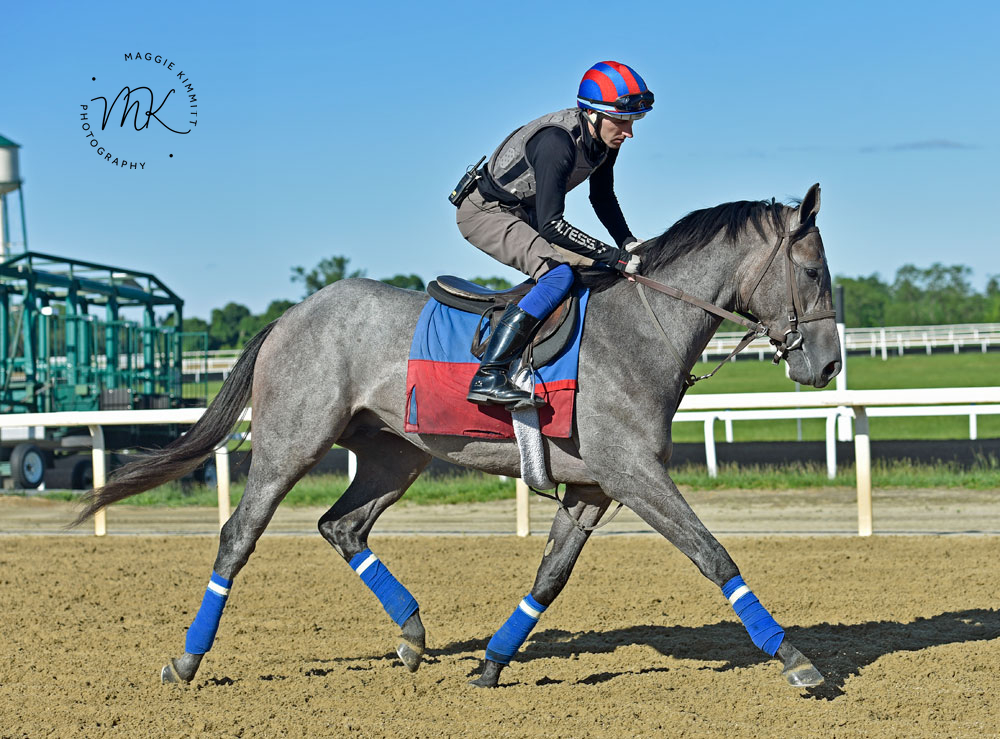 An eye-catching first outing for LONGHI:

herringswellstables.com/longhi-impress…

#PoweredbyTLore
#HorseBitscuits

🟥🏇🟦