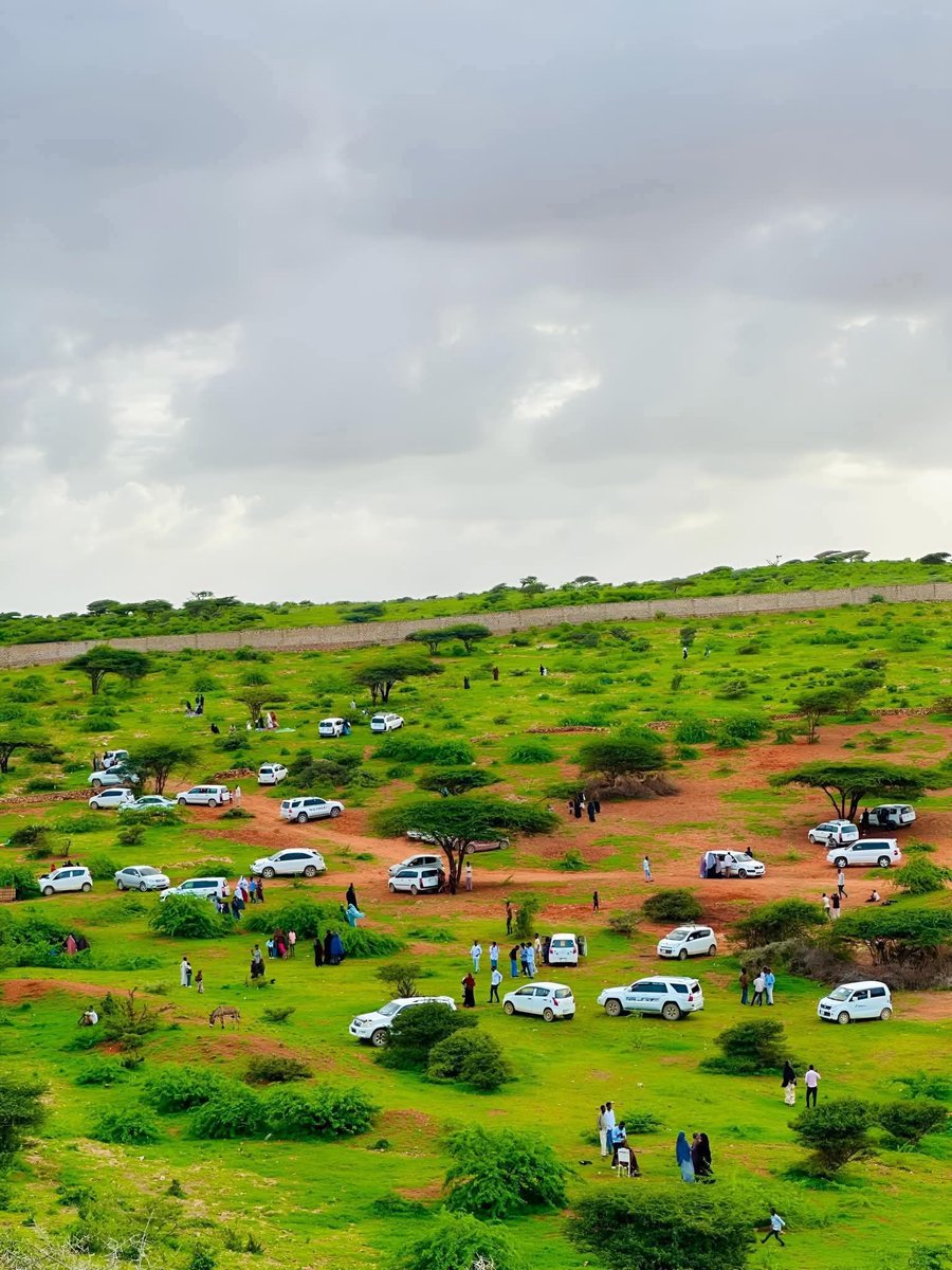 #السودان

ريف فاشر السلطان 🤍🤍