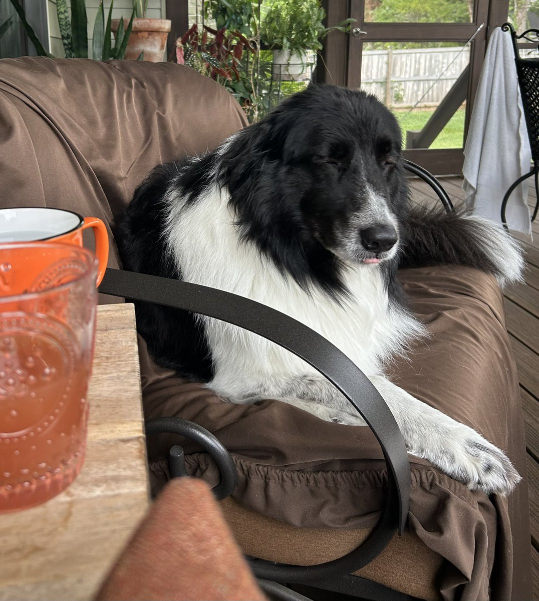 newtjamin's tweet image. We are discussing it over cocktails