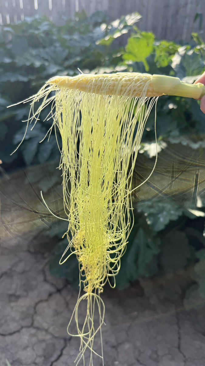 FarmerDan (@farmerdan97) on Twitter photo 