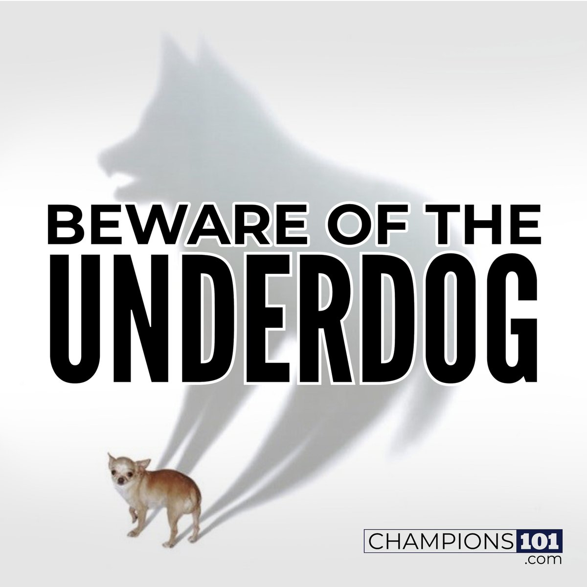 Champions 101 for Athletes:

“Real competition doesn’t care how many stars you have next to your name, what it is you’ve accomplished in the past, or what the so-called experts have predicted will happen.”

Read “Underdogs Unite,” here:  buff.ly/47JB5Ht