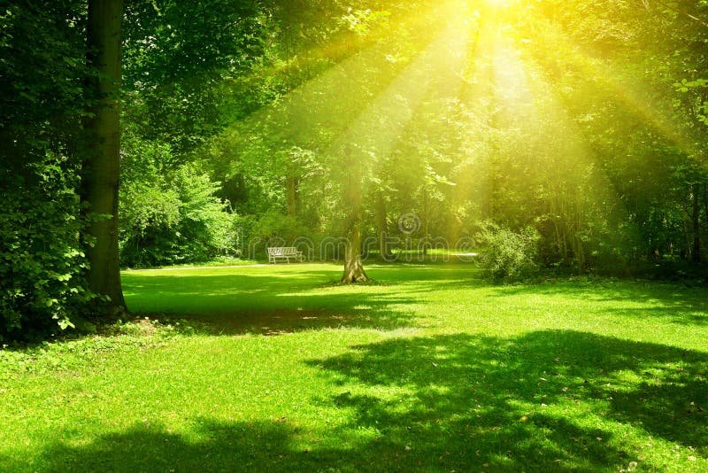 CompletedStreet's tweet image. There's substantial research showing the benefits of sun exposure and being outdoors. That's another reason why we should encourage walkability and parks in our cities.