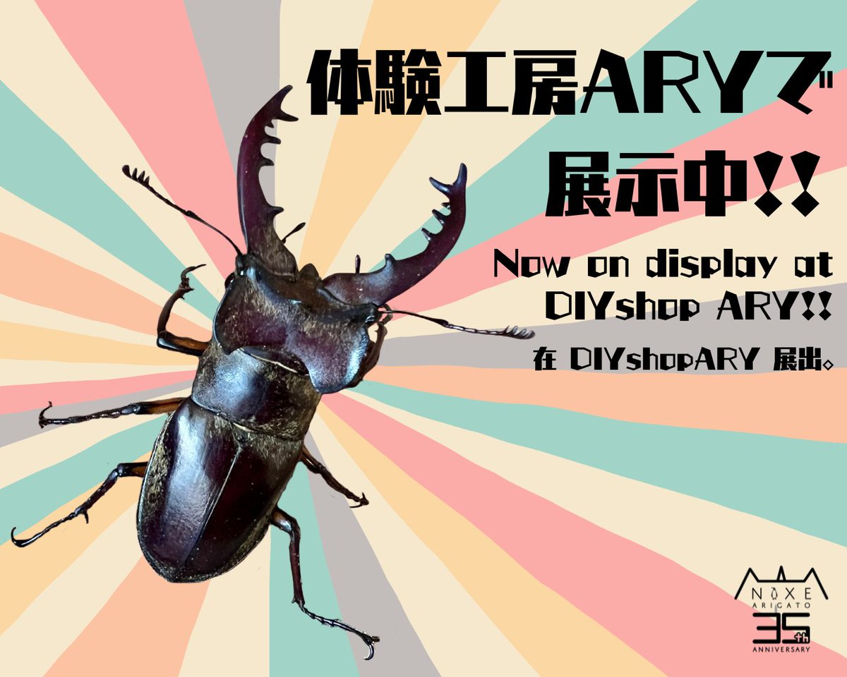 marinepark_nixe's tweet image. 体験工房ARY(アリィ)では、期間限定でクワガタを展示中!!
スタッフ手作りの物であふれているARYですが、
クワガタはホンモノです😂
入ってすぐの木箱の中をソーッと覗いてみてください👀
運が良ければ食事中の姿を見られるかも・・・!?
ぜひお待ちしています✨
#体験工房ARY
#クワガタ…