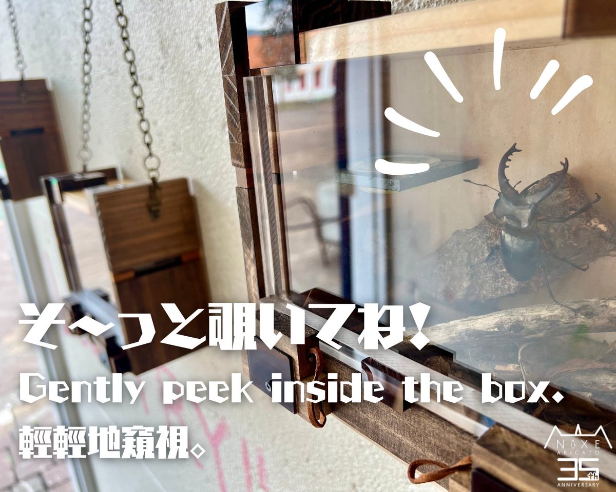 marinepark_nixe's tweet image. 体験工房ARY(アリィ)では、期間限定でクワガタを展示中!!
スタッフ手作りの物であふれているARYですが、
クワガタはホンモノです😂
入ってすぐの木箱の中をソーッと覗いてみてください👀
運が良ければ食事中の姿を見られるかも・・・!?
ぜひお待ちしています✨
#体験工房ARY
#クワガタ…