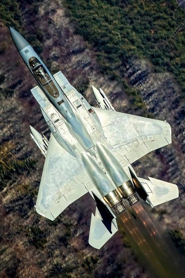 RealAirPower1's tweet image. Eagle hauling ass! The F-15 can climb at over 254 meters per second - that’s like reaching the height of Mount Everest in just 35 seconds. For comparison, most airliners take 2 to 5 minutes just to get to 3,000 meters 🫠