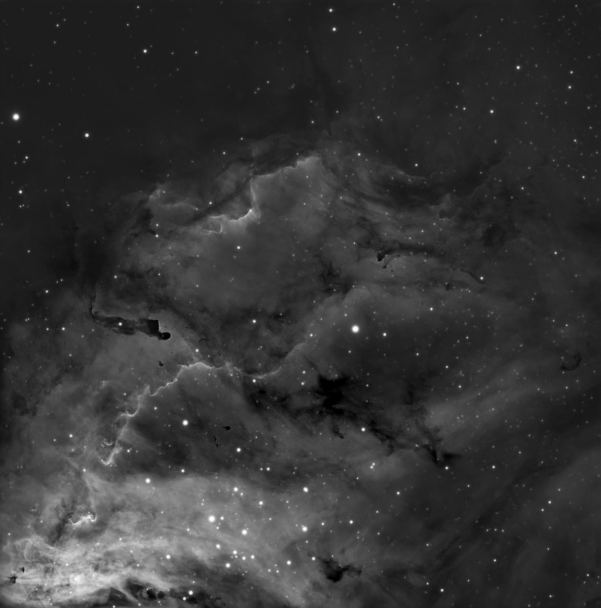 LisaBromfield's tweet image. Close up of the open star cluster NGC 6530 in the Lagoon nebula in mono (Ha channel only). #Astrophotography #space #nebula #opencluster