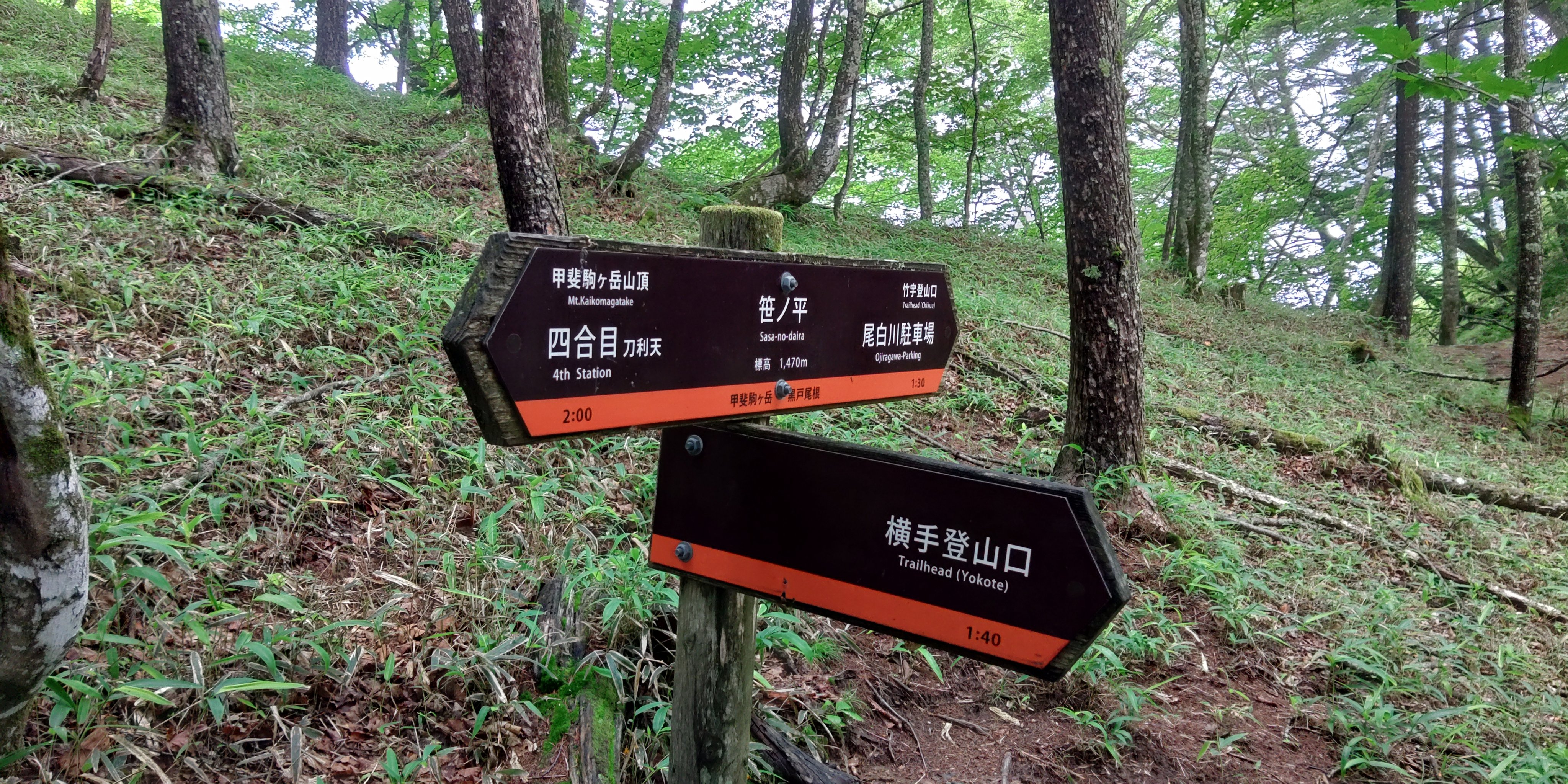 まあおまとめ２点 Multiplication Practice Packet 1x1, 2x1, 2x2, 3x1, 3x2, 3x3