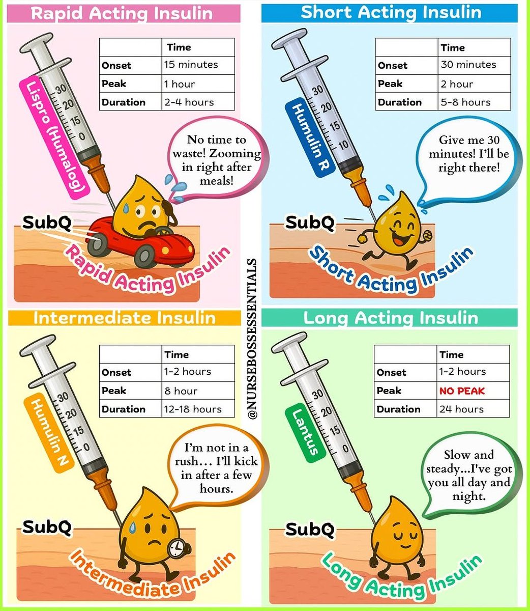 Types of insulin :