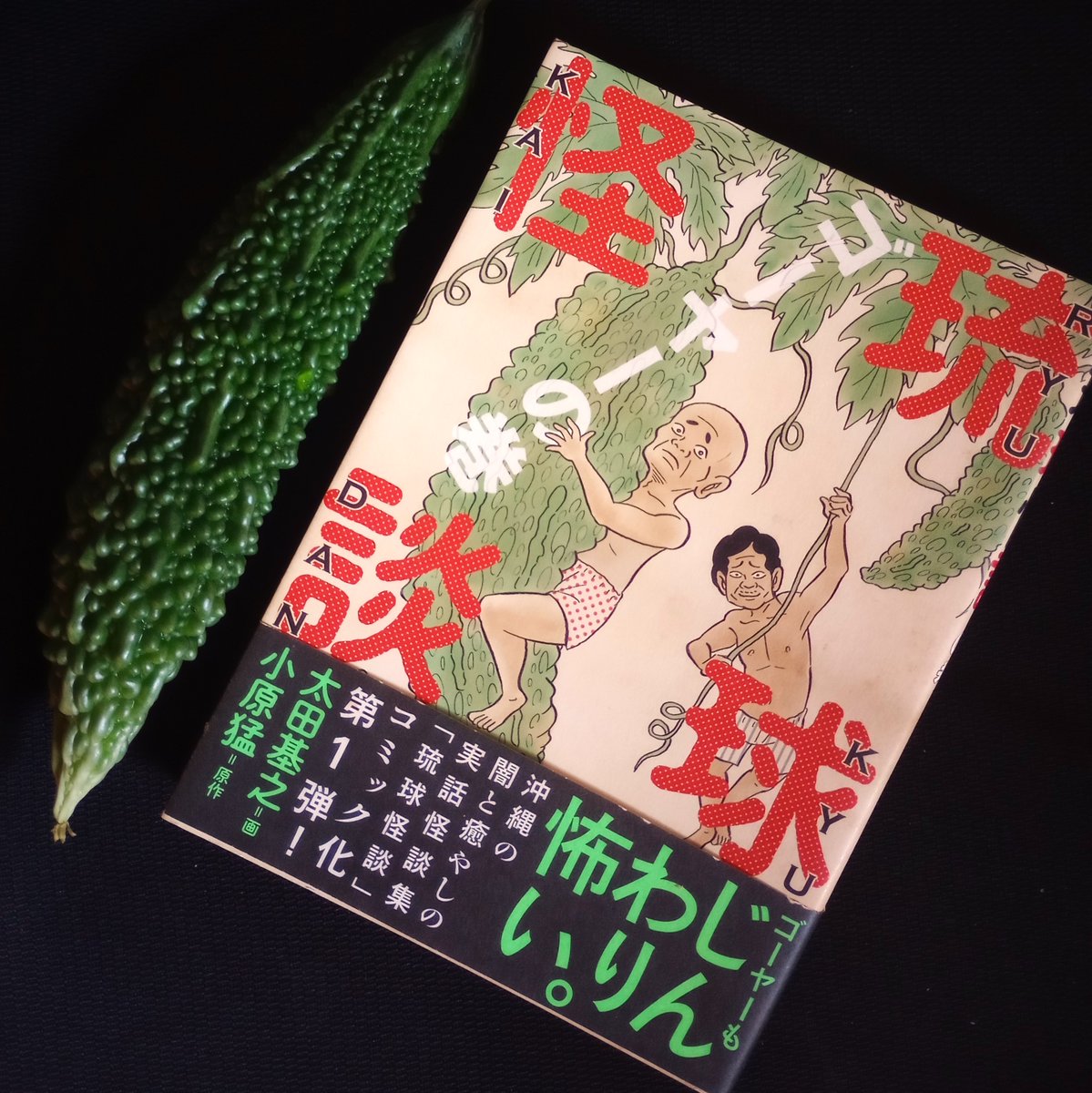 torico_ota's tweet image. 『琉球怪談』シリーズ、この夏もよろしくです(※野菜は付属しません🥒)
🍉shogakukan.co.jp/books/volume/4…
🍍borderink.com/?pid=175551132