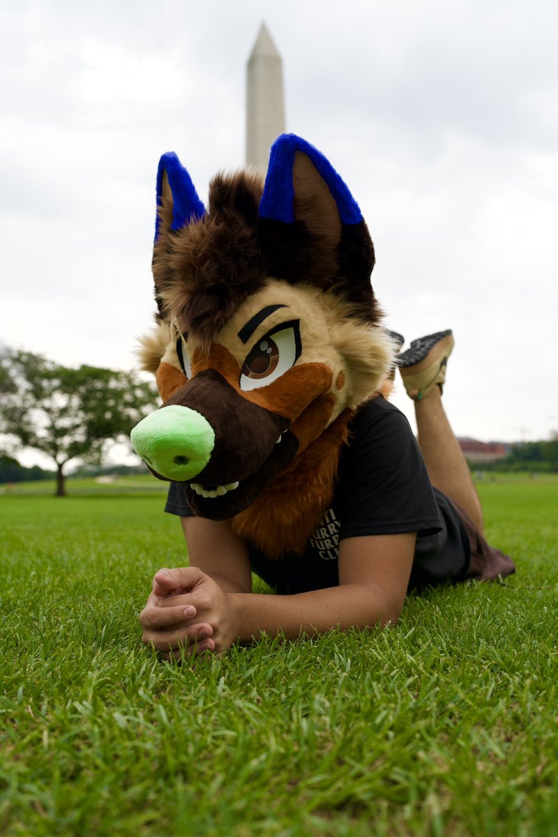 ItsRokko's tweet image. Hi there ~

#FursuitFriday