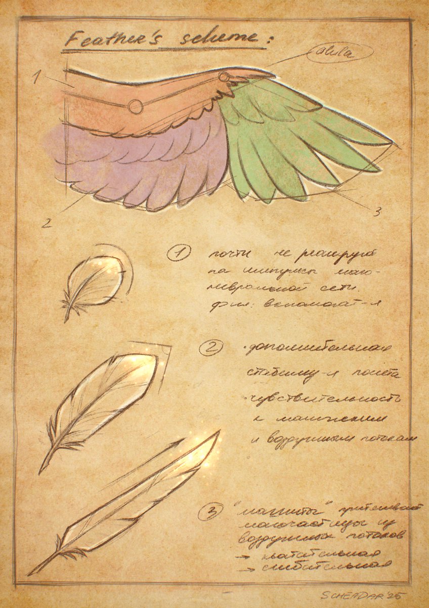 scheadar_sfw's tweet image. Hello, my friends!
Let’s take a closer look at what each support tie?
Here’s what the Reader’s Pass unlocks:
— get project news first
— access to notes, sketches, drafts
— early anatomical studies
— text fragments before publication
Thank ya! :3
💜ko-fi.com/scheadar💜