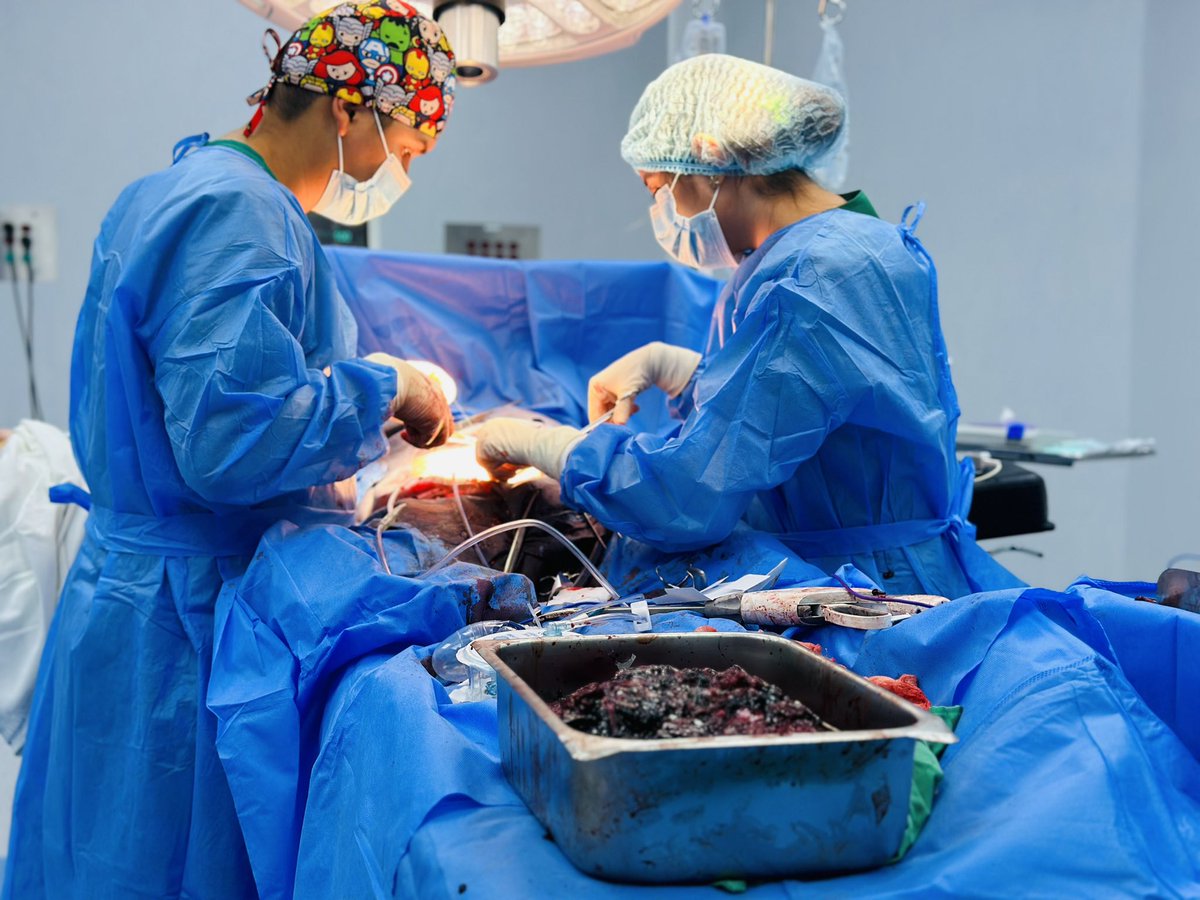 <a href="/Presidencia_Ec/">Presidencia Ecuador 🇪🇨</a> <a href="/DanielNoboaOk/">Daniel Noboa Azin</a> <a href="/Salud_Ec/">Ministerio de Salud Pública 🇪🇨</a> <a href="/Salud_CZ4/">Coordinación Zonal 4 🇪🇨</a> <a href="/marcelo_daza/">Marcelo Daza</a> <a href="/DraAuraLopez/">Aura López</a> De esta particular cirugía, que duró cerca de 2 horas, participó el siguiente equipo quirúrgico:
- Dr. Wagner Romero, cirujano general y laparoscópico.
- Dr. Marcel Ágila, cirujano vascular.
- Dr. Cristopher Loor, PG de cirugía. 7/8