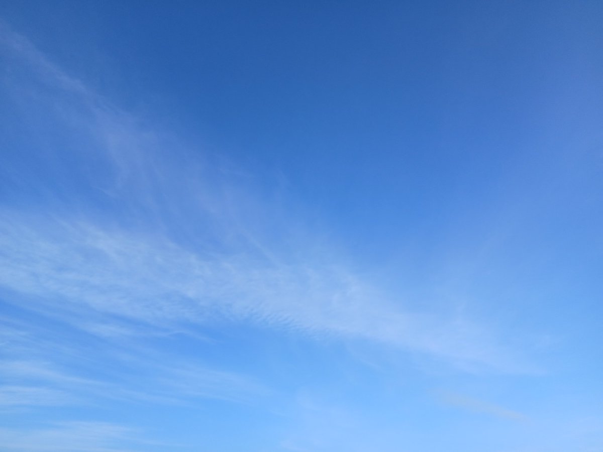 LibraNumaLabo's tweet image. おはようございます。
最近はThreadsの方で読書の話ばかりしていて、こちらはご無沙汰してました。
今日から3連休、来週末は沼津夏祭り。これから夏休みの間は、たくさんの人が沼津に来てくれそうですね。
実は人混み苦手な私、メインストリートではなく、隠れ家スポットを開拓していこうと思います。