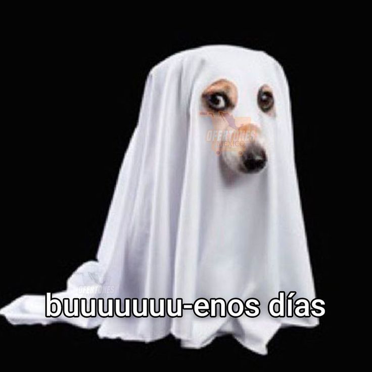 Hola mutis, cómo andan?