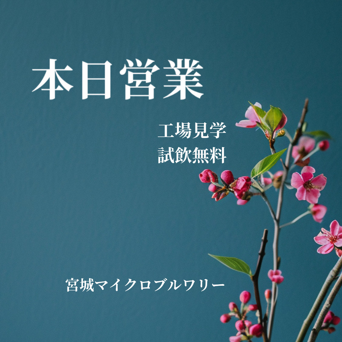 宮城マイクロブルワリーです✨    
【土曜日ですが営業中】      
土曜日は定休日ですが本日特別営業しております♡*     
--------------------------------------              
follow me♡Instagram              
instagram.com/yuriagebeer/?h…
--------------------------------------