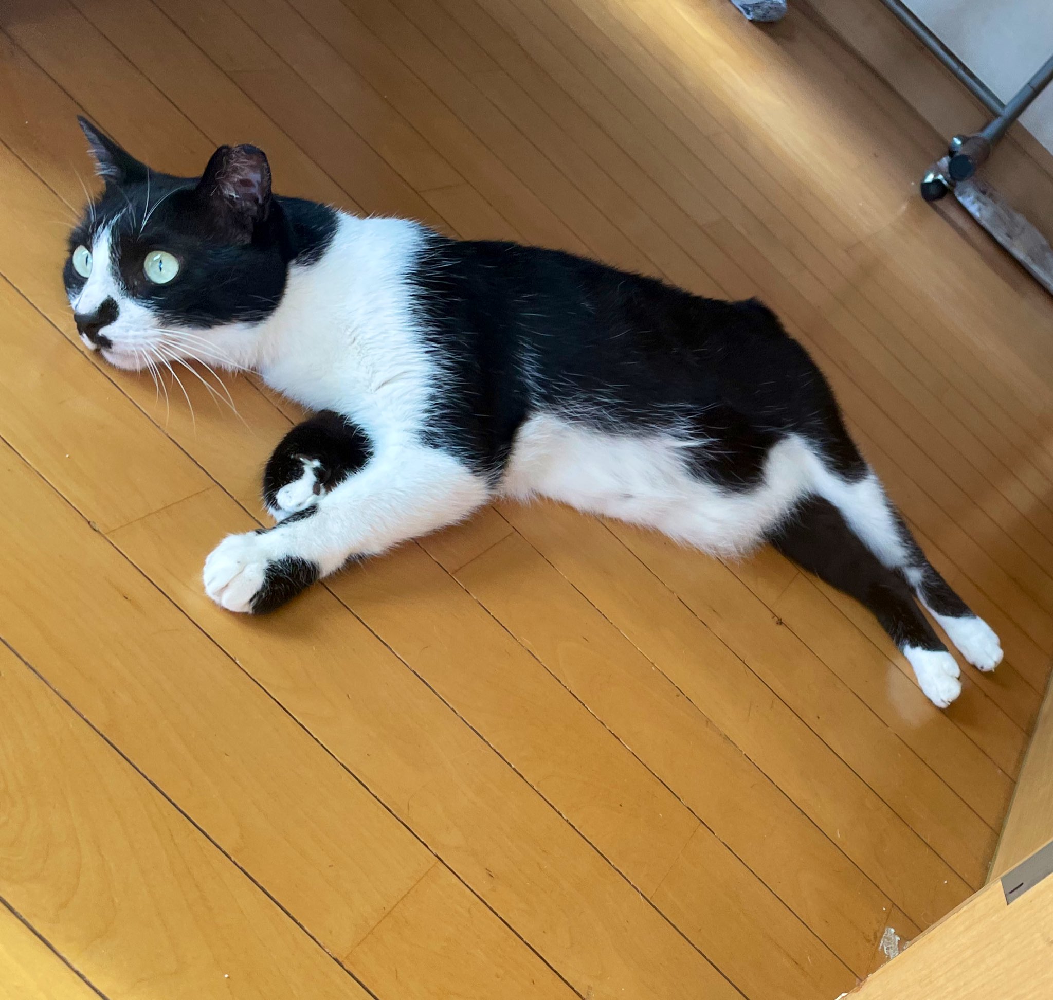 ふじっこ on X: 