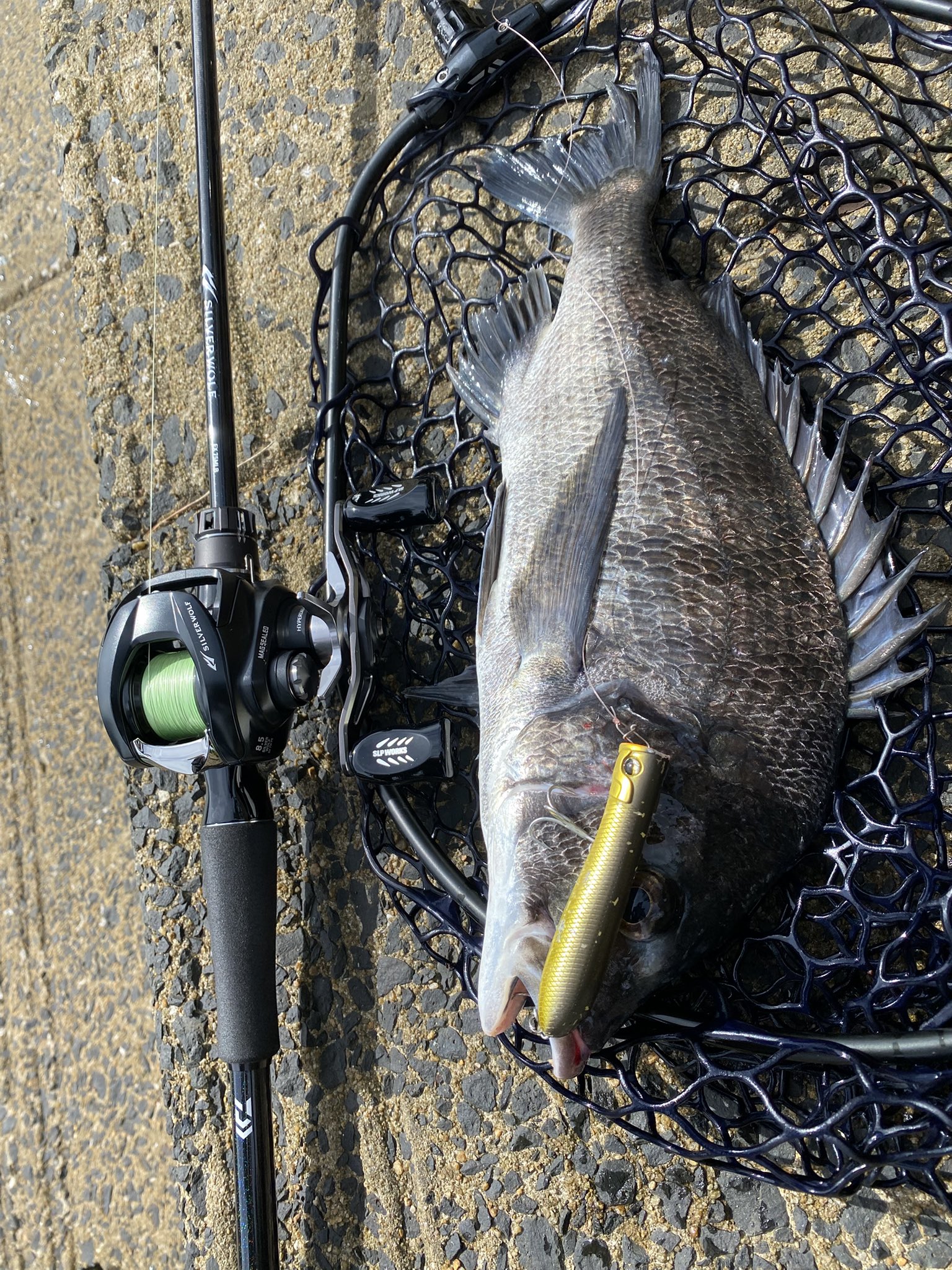 DAIWA - バンビ 名前は最悪だがどこでもカンタンに手に入る超絶ローリングウェイ