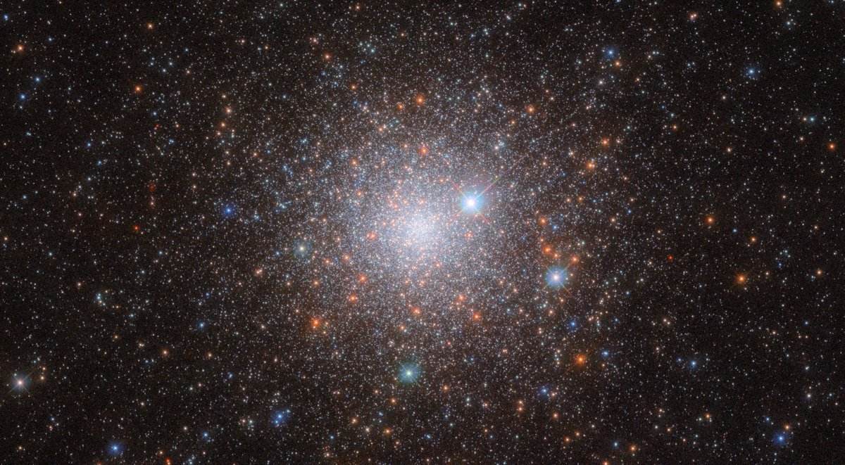 astro_jaz's tweet image. LOOK AT THIS BEAUTIFUL NEW HUBBLE IMAGE OF GLOBULAR CLUSTER NGC 1786!!!
I LOVE GLOBULAR CLUSTERS!! β¨