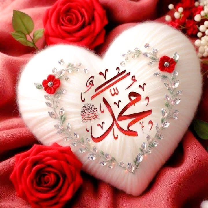 السلام علیکم🌺🍁
پہارے دوستو🤍🥰
صبح بخیر🌹❤️🪴