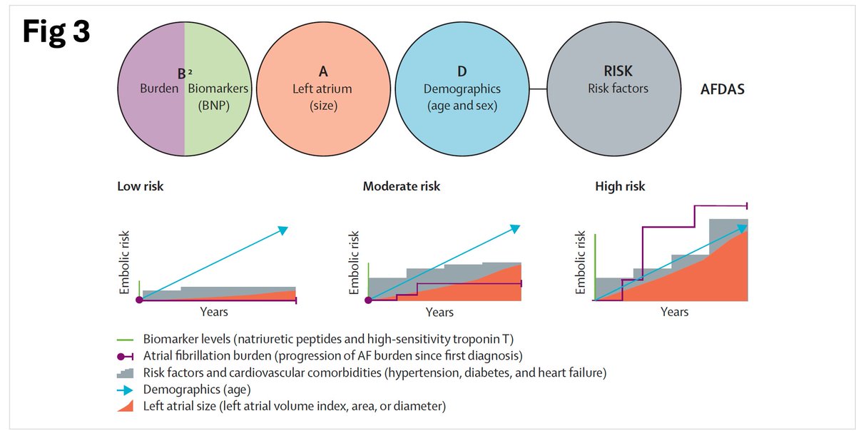SposatoL's tweet image. ๐ง Great paper on BNP and timing of AFDAS diagnosis
๐Ref 1
๐ 374 #stroke pt w/o known #Afib, but AFDAS detected on cardiac monitoring (BIOSIGNAL & GRAZ cohorts)
๐ Inhospital AFDAS (72%):
๐งช NT-proBNP at admission predicts in-hospital AFDAS
โช๏ธCutoff: 505 pg/mL โ AUC 0.83โฆ