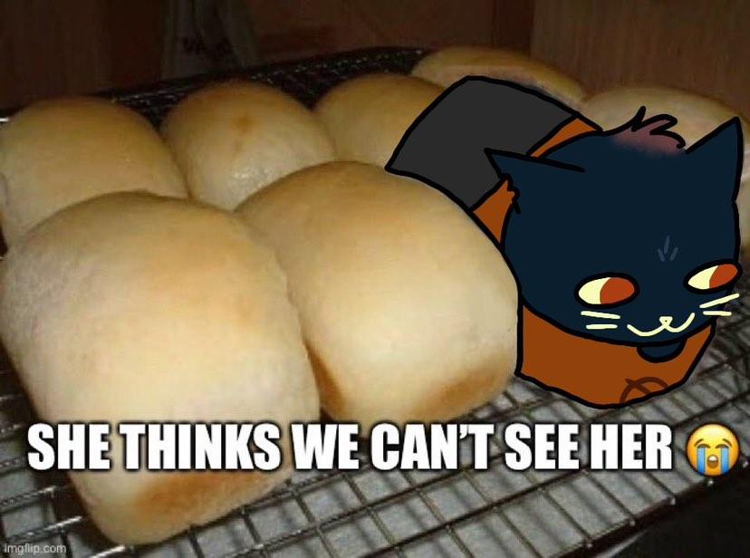 Zyl҉ó (@sillyzylo) on Twitter photo 