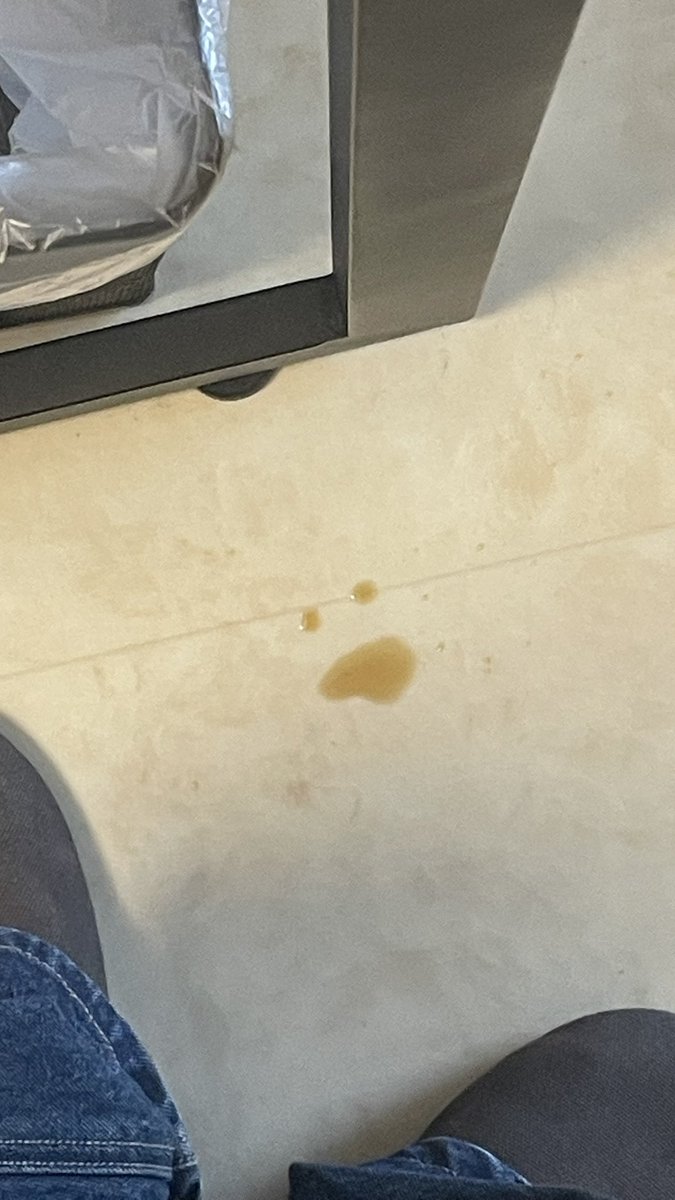 quietcatglow's tweet image. こぼしたコーヒーにびっくりされた