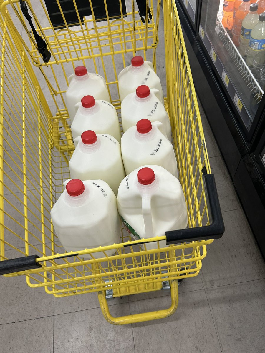 Cooper Kraus (@cooperkraus52) on Twitter photo Cooper Kraus, #52 Inside Linebacker, Class of 2026, Buena HS, AZ
WEEKEND MILK RUN!!!
GOMAD diet is working. Gallon Of Milk A Day!!! 
•2,400 calories
•127 grams (g) of fat
•187 g of carbohydrates
•123 g of protein
Lifting, speed training, diet and sleep!  Team workouts in Cooper Kraus, #52 Inside Linebacker, Class of 2026, Buena HS, AZ
WEEKEND MILK RUN!!!
GOMAD diet is working. Gallon Of Milk A Day!!! 
•2,400 calories
•127 grams (g) of fat
•187 g of carbohydrates
•123 g of protein
Lifting, speed training, diet and sleep!  Team workouts in