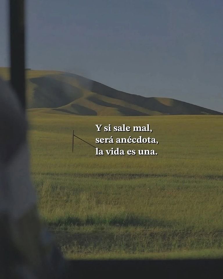 eligedisciplina's tweet photo. https://t.co/L3Bj2t4SuZ