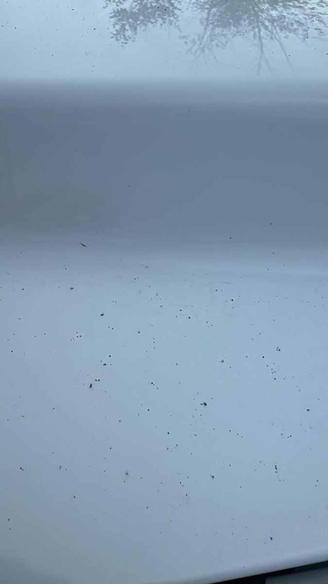 ToddYakoubian's tweet image. Wild! Shannon Edds says ash is falling from the sky in Maumelle and it's all over everything. Just guessing, but possibly lightning struck a nearby tree and it's on fire. Thoughts? #ARWX #ARStormTeam @KARK4News