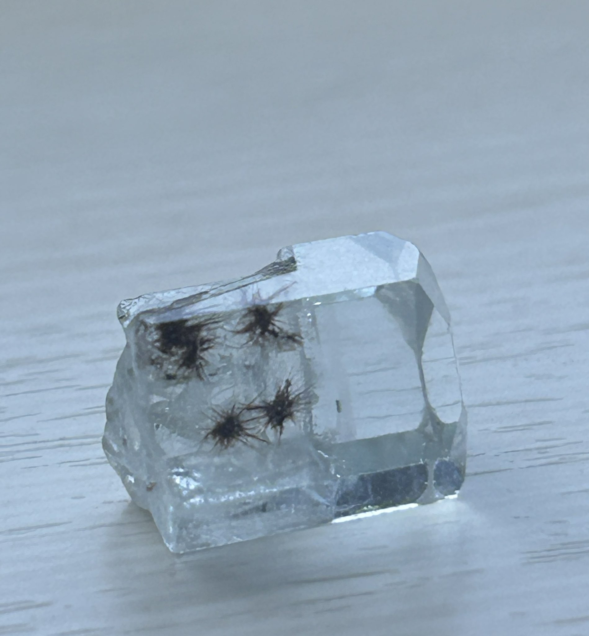 まめすけ 豆すけ＊ちびすけ (@mamesuke_chibisuke) • Threads, Say more