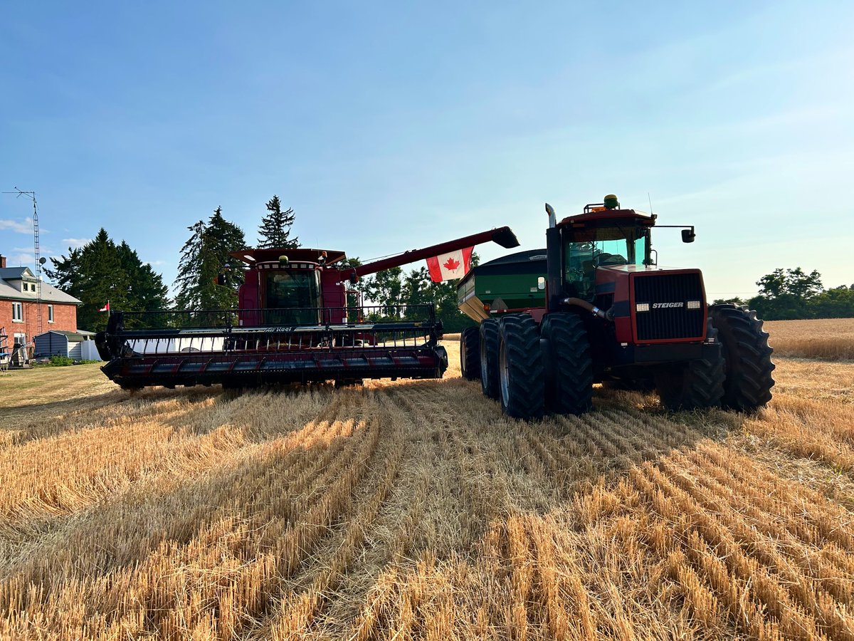 Like riding a bike…. Or something like that. Still a little on the wet side but good to get a few of the first day bugs worked out and a few things calibrated. #harvest25 is right around the corner! <a href="/OntAg/">Farms.com Ontario</a>