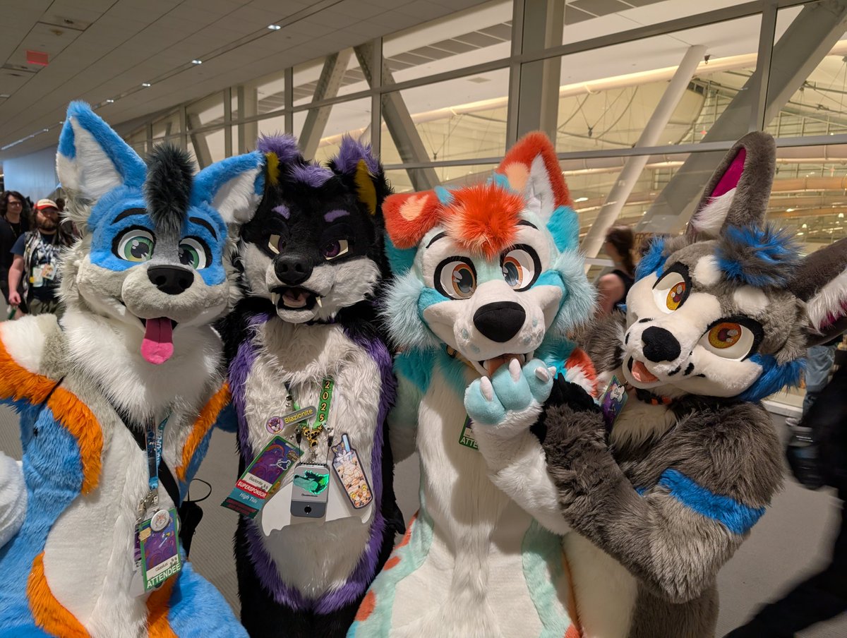 So many good dogs! #FursuitFriday

🏙️: #AC2025