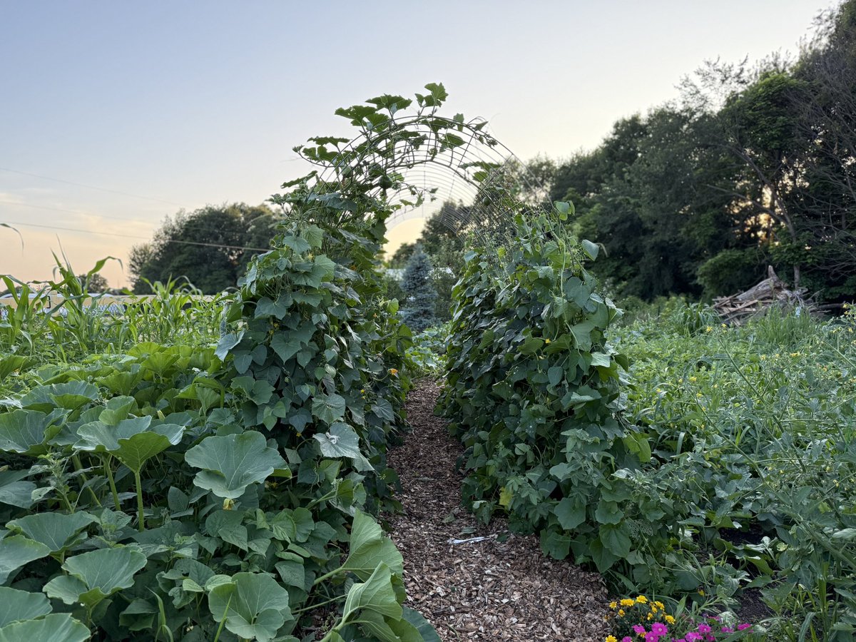 Flexing my trellis