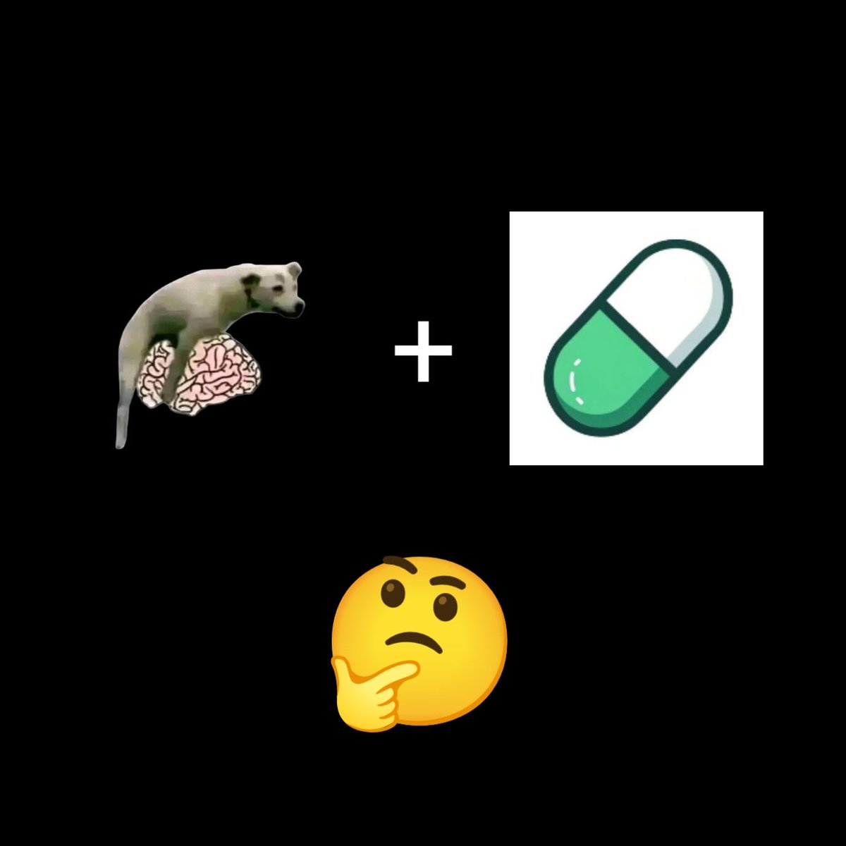 Doggy_rot's tweet photo. Make meme? @troll_ @elonmusk https://t.co/OPJVMHOcHe